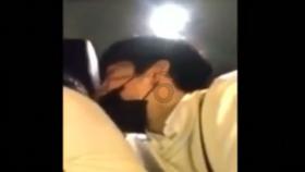 救援袋鼬